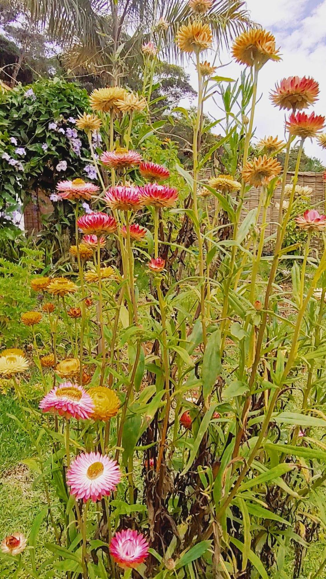 Recanto Duas Rosas Venda Nova do Imigrante Exterior foto