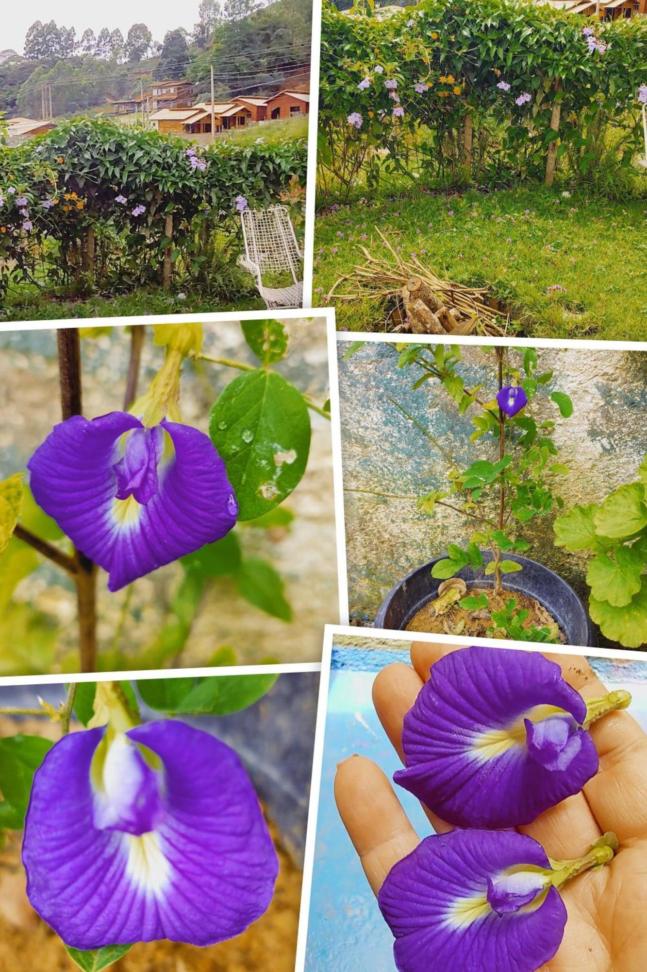 Recanto Duas Rosas Venda Nova do Imigrante Exterior foto